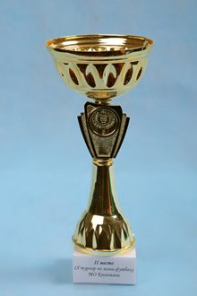 2 МЕСТО в IX турнире по мини-футболу МО Коломяги 2010